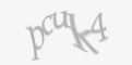 Защитный код